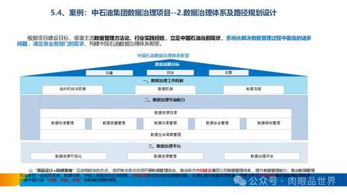 構建卓越數(shù)據(jù)資產(chǎn) XX集團數(shù)據(jù)治理體系建設方案之數(shù)據(jù)處理服務篇